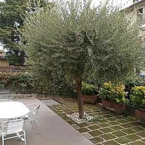 Almerina , Bardolino Italien